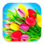 flowers stickers for whatsapp android application logo